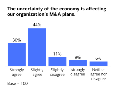 The uncertainty of the economy is affecting our organization’s M&A plans.