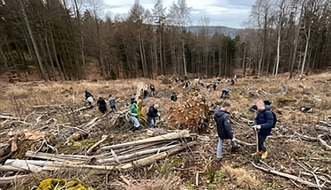 Preserving our environment: people clearing forest in preparation