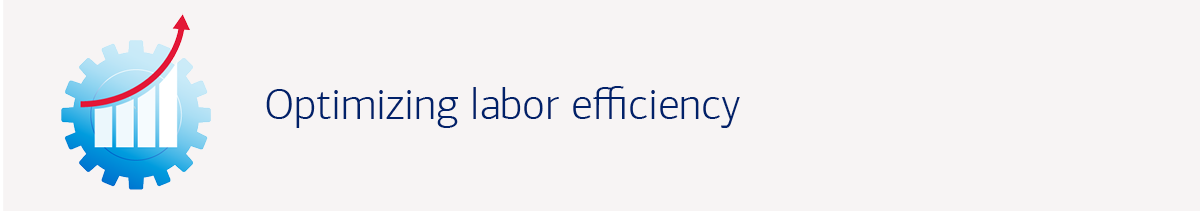 Optimizing labor efficiency