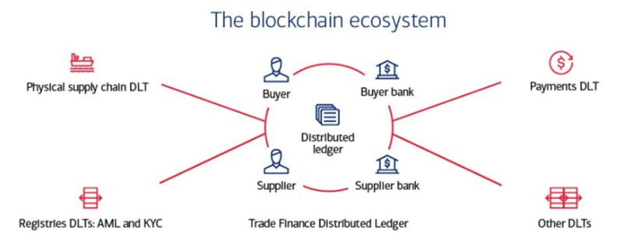 The blockchain ecosystem